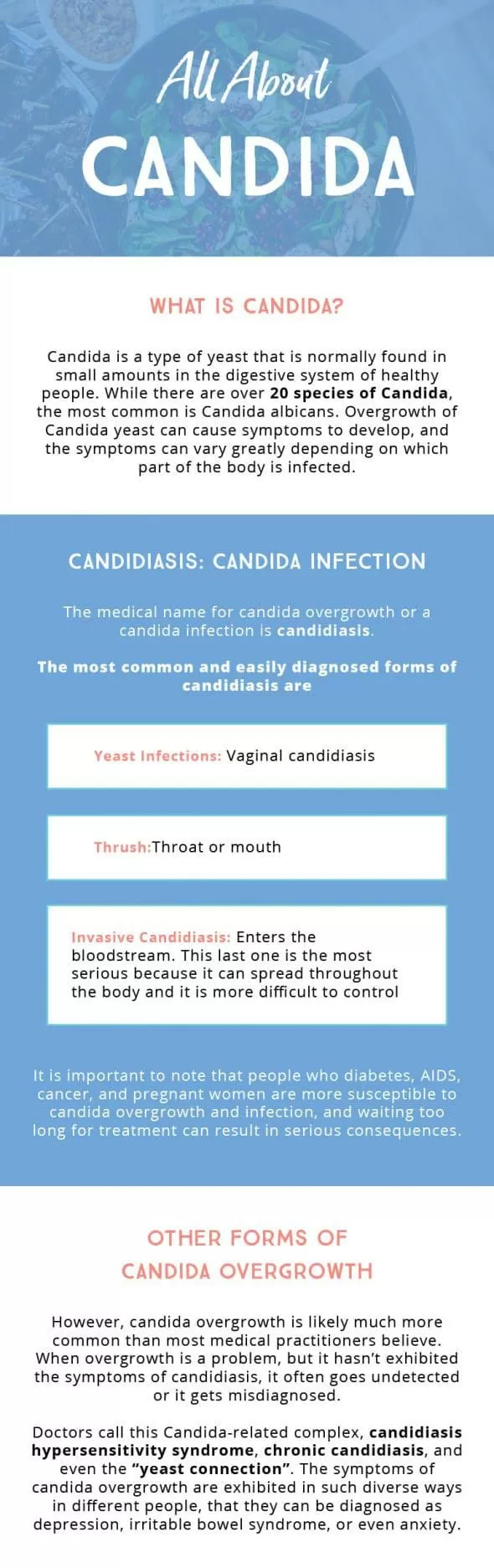 Chiropractic Lombard IL The Candida Diet