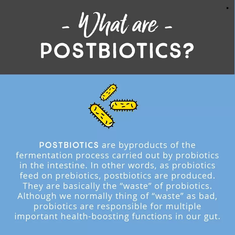 Chiropractic Lombard IL What Are Probiotics