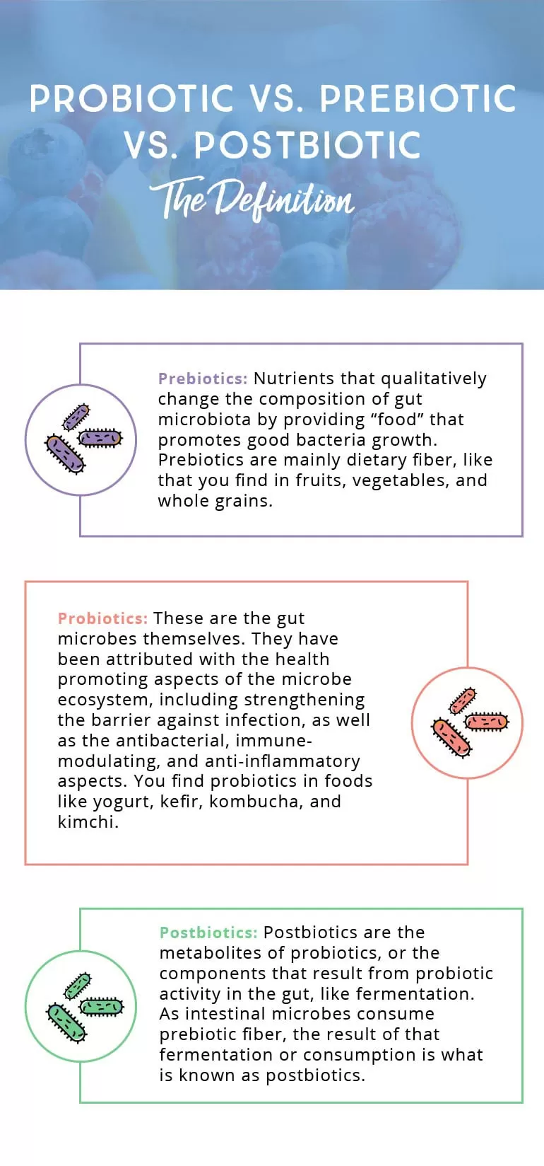 Chiropractic Lombard IL Probiotic VS Prebiotic VS Postbiotic