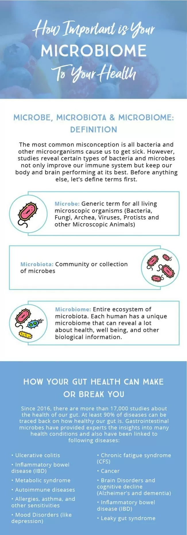 Chiropractic Schaumburg IL Your Microbiome